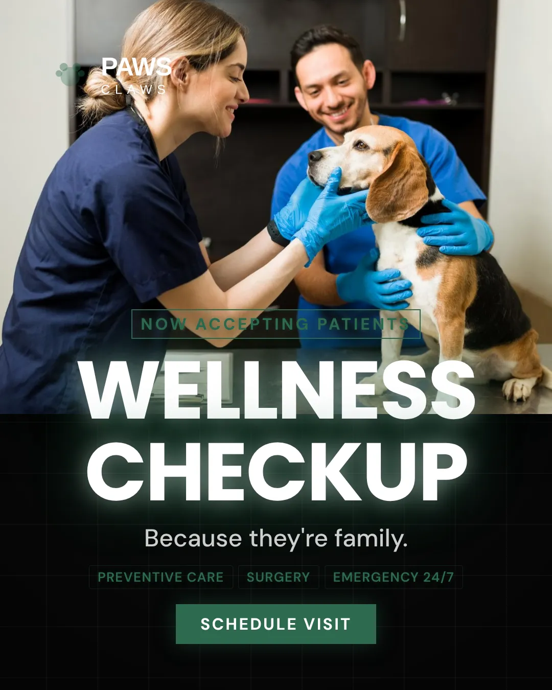 Veterinary Instagram Portrait Overlay Panel Ad Example
